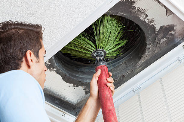 Best Local Air Duct Cleaning Services  in Junction City, CA